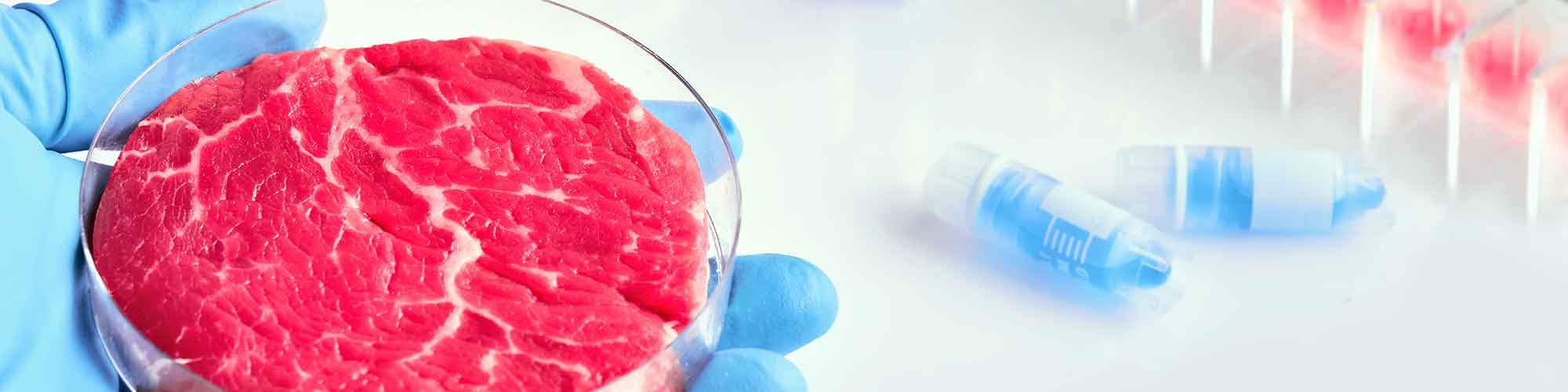 Cultured-Meat-Header