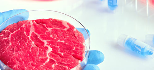 Cultured-Meat-Uebersicht